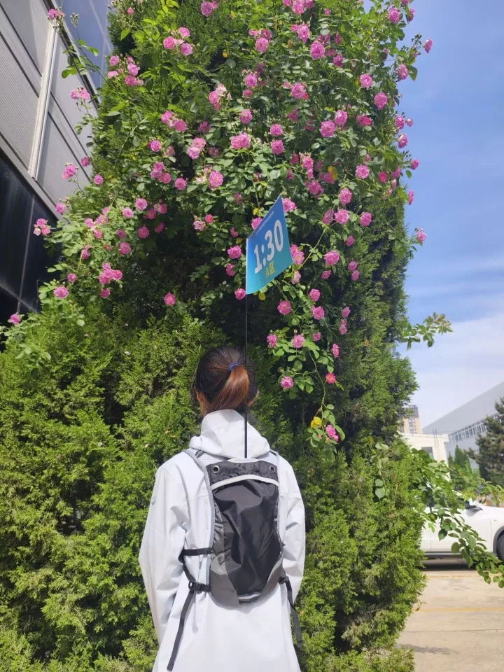 WZRODS grey pacer backpack with 'Sector 1:30' guide flag in bloom-filled route
