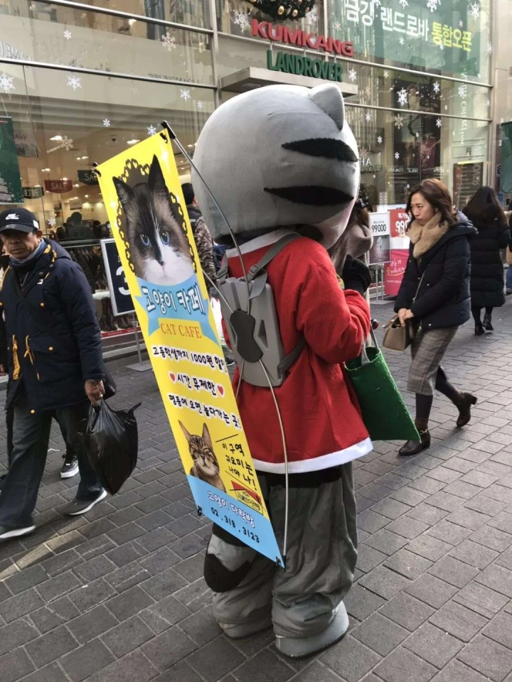 Cat mascot with WZRODS backpack flag: Korean-English CAT CAFE ad, snowflake-decorated Land Rover store backdrop